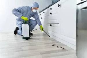 "فريق عمل شركة رش مبيدات الحور بالفجيرة أثناء التنفيذ"